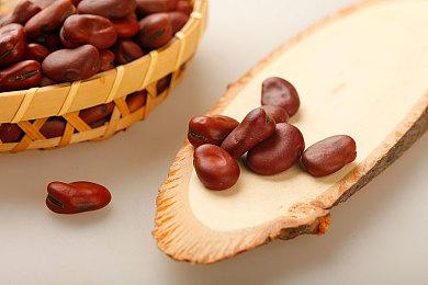 韩国职业玩家：《星空》没韩语不可理解 太看不起人